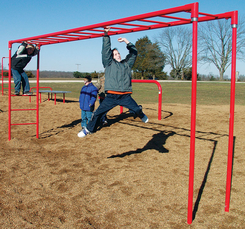 Horizontal Ladder (powder coated)