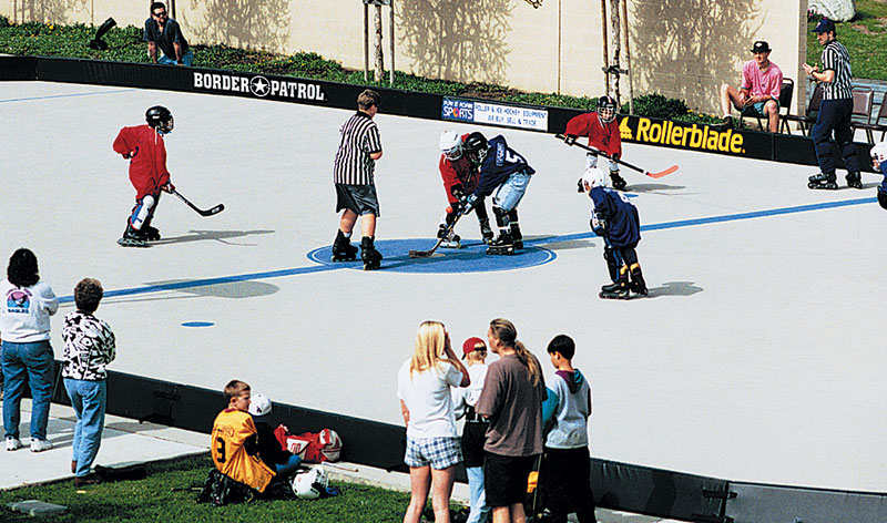 Official Size Border Patrol Rink System