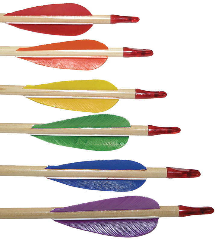 6-Color Wood Archery Arrows