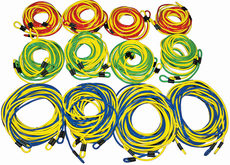Kit includes 12 double dutch ropes and Jump2bFit Double Dutch Program