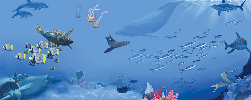 20' Ocean Scene Mural for Climbing Wall