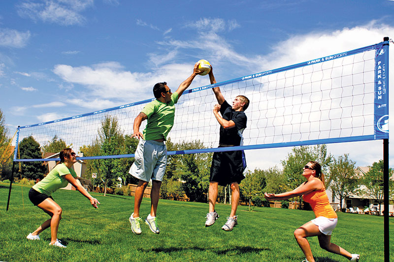 Spectrum 2000 Volleyball System